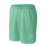 Mint Mesh Shorts